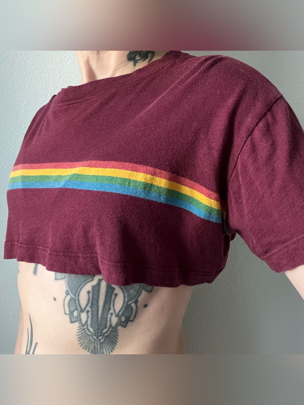 Burgundy rainbow stripe crop top t shirt, Dolls Kill, Rock Rose Couture